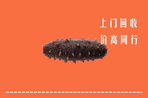 自贡高价回收海参