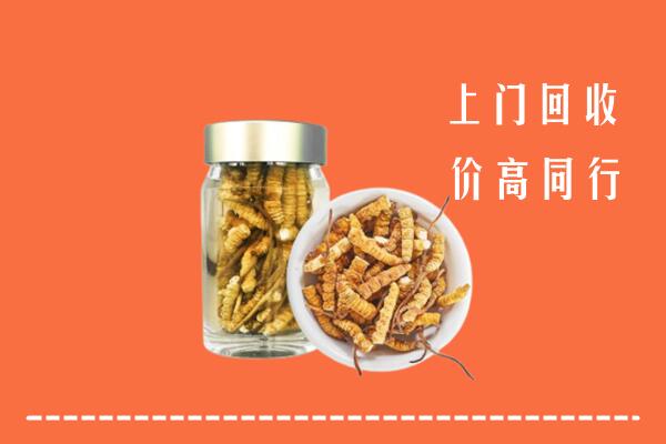高价求购：自贡回收冬虫夏草